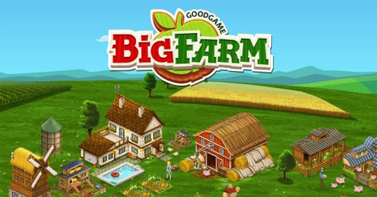   Big Farm    -  6