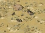 Лагерь в пустыни может оказаться спасательным убежищем
